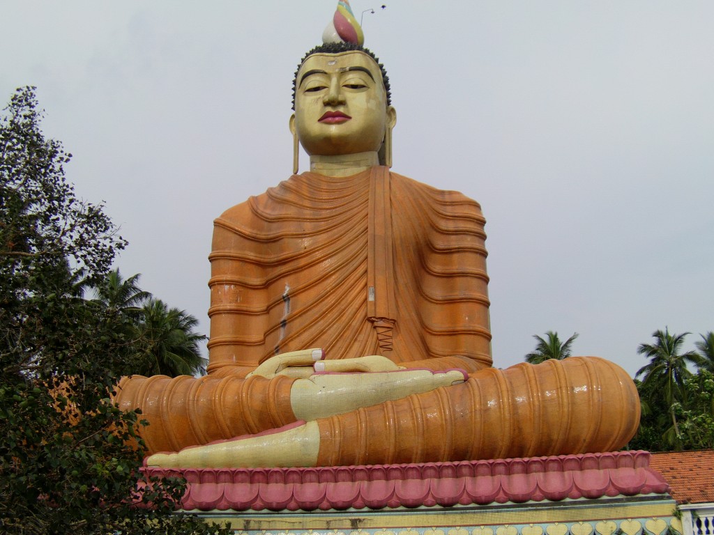 IMAG0675